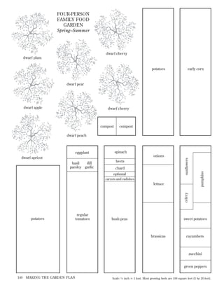 FOUR-PERSON
FAMILY FOOD
GARDEN
Spring–Summer

dwarf cherry
dwarf plum
potatoes

early corn

dwarf pear

dwarf apple

dwarf cherry

compost

compost

dwarf peach

dill
basil
parsley garlic

onions

beets
chard
optional
carrots and radishes

celery

lettuce

pumpkins

dwarf apricot

spinach
sunflowers

eggplant

potatoes

regular
tomatoes

sweet potatoes

bush peas

brassicas

cucumbers

zucchini
green peppers
140

MAKING THE GARDEN PLAN

Scale: 1⁄ 4 inch Х 1 foot. Most growing beds are 100 square feet (5 by 20 feet).

 