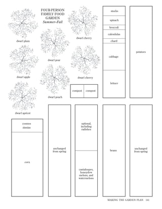 FOUR-PERSON
FAMILY FOOD
GARDEN
Summer–Fall

stocks

spinach
broccoli
calendulas
dwarf cherry
chard

dwarf plum

potatoes
cabbage
dwarf pear

dwarf apple

dwarf cherry
lettuce
compost

compost

dwarf peach

dwarf apricot

optional,
including
radishes

cosmos
zinnias

unchanged
from spring

beans

unchanged
from spring

corn
cantaloupes,
honeydew
melons, and
watermelons

MAKING THE GARDEN PLAN

141

 