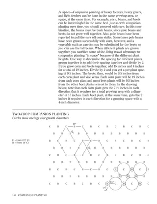 In Space—Companion planting of heavy feeders, heavy givers,
and light feeders can be done in the same growing area, or
space, at the same time. For example, corn, beans, and beets
can be intermingled in the same bed. Just as with companion
planting over time, you should proceed with care. In this combination, the beans must be bush beans, since pole beans and
beets do not grow well together. Also, pole beans have been
reported to pull the ears off corn stalks. Sometimes pole beans
have been grown successfully with corn, however, and a
vegetable such as carrots may be substituted for the beets so
you can use the tall beans. When different plants are grown
together, you sacriﬁce some of the living mulch advantage to
companion planting “in space” because of the different plant
heights. One way to determine the spacing for different plants
grown together is to add their spacing together and divide by 2.
If you grow corn and beets together, add 15 inches and 4 inches
for a total of 19 inches. Divide by 2 and you get a per-plant spacing of 9.5 inches. The beets, then, would be 9.5 inches from
each corn plant and vice versa. Each corn plant will be 19 inches
from each corn plant and most beet plants will be 9.5 inches
from the other beet plants nearest to them. In the drawing
below, note that each corn plant gets the 7 1 ⁄ 2 inches in each
direction that it requires for a total growing area with a diameter of 15 inches. Each beet plant, at the same time, gets the 2
inches it requires in each direction for a growing space with a
4-inch diameter.

TWO-CROP COMPANION PLANTING
Circles show average root growth diameters.
C

B

C = Corn (15Љ C)
B = Beets (4Љ C)

B

B
C
B

B

C

C

B

B

C

B

B

B
C

COMPANION PLANTING

7 1/2 Љ

B

B

C
B

C
B

C

B
B

B

B
B

C

C

C

C
B

B

B

B
C

B

B

B

B
B

B

B

B
B

B

B

B

C

C

C

C

2Љ
146

B

B

B

B
B

B

B

B
B

C

C

C

C
B

B

B

B

B

B

B
B

B
B

C

C

C

C
B

B

B

B
C

B

B

B

B
B

B

B

B

B

C
B

B

B
C

B

B

B

B

C

19 Љ

B
C

19 Љ

B

19Љ
B

C

B
B

B

C

 