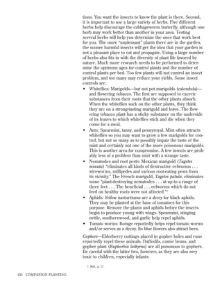 tions. You want the insects to know the plant is there. Second,
it is important to use a large variety of herbs. Five different
herbs help discourage the cabbageworm butterﬂy, although one
herb may work better than another in your area. Testing
several herbs will help you determine the ones that work best
for you. The more “unpleasant” plants there are in the garden,
the sooner harmful insects will get the idea that your garden is
not a pleasant place to eat and propagate. Using a large number
of herbs also ﬁts in with the diversity of plant life favored by
nature. Much more research needs to be performed to determine the optimum ages for control plants and the number of
control plants per bed. Too few plants will not control an insect
problem, and too many may reduce your yields. Some insect
controls are:
• Whiteﬂies: Marigolds—but not pot marigolds (calendula)—
and ﬂowering tobacco. The ﬁrst are supposed to excrete
substances from their roots that the other plants absorb.
When the whiteﬂies suck on the other plants, they think
they are on a strong-tasting marigold and leave. The ﬂowering tobacco plant has a sticky substance on the underside
of its leaves to which whiteﬂies stick and die when they
come for a meal.
• Ants: Spearmint, tansy, and pennyroyal. Mint often attracts
whiteﬂies so you may want to grow a few marigolds for control, but not so many as to possibly impair the taste of the
mint and certainly not one of the more poisonous marigolds.
This is another area for compromise. A few insects are probably less of a problem than mint with a strange taste.
• Nematodes and root pests: Mexican marigold (Tagetes
minuta) “eliminates all kinds of destructive eelworms . . .
wireworms, millipedes and various root-eating pests from
its vicinity.” The French marigold, Tagetes patula, eliminates
some “plant-destroying nematodes . . . at up to a range of
three feet . . . The beneﬁcial . . . eelworms which do not
feed on healthy roots were not affected.”7
• Aphids: Yellow nasturtiums are a decoy for black aphids.
They may be planted at the base of tomatoes for this
purpose. Remove the plants and aphids before the insects
begin to produce young with wings. Spearmint, stinging
nettle, southernwood, and garlic help repel aphids.
• Tomato worms: Borage reportedly helps repel tomato worms
and/or serves as a decoy. Its blue ﬂowers also attract bees.
Gophers—Elderberry cuttings placed in gopher holes and runs
reportedly repel these animals. Daffodils, castor beans, and
gopher plant (Euphorbia lathyrus) are all poisonous to gophers.
Be careful with the latter two, however, as they are also very
toxic to children, especially infants.
7. Ibid., p. 17.

150

COMPANION PLANTING

 