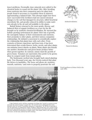insect problems. Eventually, trace minerals were added to the
chemical larder to round out the plants’ diet. After breaking
down nutrients into their component parts for plant food,
people found it necessary to recombine them in mixtures
approximating a balanced diet. This attempt might have been
more successful if the fertilizers had not caused chemical
changes in the soil that damaged its structure, killed beneﬁcial
microbiotic life, and greatly reduced its ability to make nutrients already in the air and soil available to the plants.
Rudolf Steiner returned to the more gentle, diverse, and
balanced diets of organic fertilizers as a cure for the ills
brought on by synthetic chemical fertilization. He stressed the
holistic growing environment for plants: their rate of growth,
the synergistic balance of their environments and nutrients,
their proximity to other plants, and their various companion
relationships. He initiated a movement to scientiﬁcally explore
the relationship that plants have with each other. From
centuries of farmer experience and from tests, it has been
determined that certain ﬂowers, herbs, weeds, and other plants
can minimize insect attacks on plants. Many plants also beneﬁt
one another. Strawberries and green beans produce better
when grown together. In contrast, onions stunt the growth of
green beans. Tomatoes are narcissists; they prefer to be grown
alone in compost made from tomato plants.
The biodynamic method also brought back raised planting
beds. Two thousand years ago, the Greeks noticed that plant
life thrives in landslides. The loose soil allows air, moisture,
warmth, nutrients,1 and roots to properly penetrate the soil.

Artiﬁcial fertilization.

Natural fertilization.

French gardeners at lettuce beds in the
early 1900s.

1. Alan Chadwick used to call these nutriments, the things that “nourish or promote growth
and repair the natural wastage of organic life.” He used the term to distinguish them from
nutrients, which are merely “nourishing substances or ingredients.” He did this in particular to
note the importance of multinutrient organic fertilizers, which break down over a period of time
and nourish microbial life growth. In contrast, chemical fertilizers generally break down rapidly
and cause inefﬁcient decomposition of organic matter. This organic matter is the microbial life’s
food source. In this book, nutrient has both meanings.

HISTORY AND PHILOSOPHY

3

 