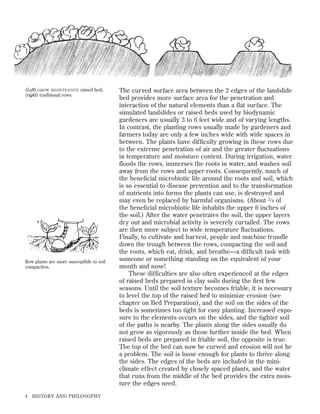 (Left) GROW BIOINTENSIVE raised bed;
(right) traditional rows.

Row plants are more susceptible to soil
compaction.

4

HISTORY AND PHILOSOPHY

The curved surface area between the 2 edges of the landslide
bed provides more surface area for the penetration and
interaction of the natural elements than a flat surface. The
simulated landslides or raised beds used by biodynamic
gardeners are usually 3 to 6 feet wide and of varying lengths.
In contrast, the planting rows usually made by gardeners and
farmers today are only a few inches wide with wide spaces in
between. The plants have difficulty growing in these rows due
to the extreme penetration of air and the greater fluctuations
in temperature and moisture content. During irrigation, water
floods the rows, immerses the roots in water, and washes soil
away from the rows and upper roots. Consequently, much of
the beneficial microbiotic life around the roots and soil, which
is so essential to disease prevention and to the transformation
of nutrients into forms the plants can use, is destroyed and
may even be replaced by harmful organisms. (About 3 ⁄ 4 of
the beneficial microbiotic life inhabits the upper 6 inches of
the soil.) After the water penetrates the soil, the upper layers
dry out and microbial activity is severely curtailed. The rows
are then more subject to wide temperature fluctuations.
Finally, to cultivate and harvest, people and machine trundle
down the trough between the rows, compacting the soil and
the roots, which eat, drink, and breathe—a difficult task with
someone or something standing on the equivalent of your
mouth and nose!
These difficulties are also often experienced at the edges
of raised beds prepared in clay soils during the first few
seasons. Until the soil texture becomes friable, it is necessary
to level the top of the raised bed to minimize erosion (see
chapter on Bed Preparation), and the soil on the sides of the
beds is sometimes too tight for easy planting. Increased exposure to the elements occurs on the sides, and the tighter soil
of the paths is nearby. The plants along the sides usually do
not grow as vigorously as those further inside the bed. When
raised beds are prepared in friable soil, the opposite is true.
The top of the bed can now be curved and erosion will not be
a problem. The soil is loose enough for plants to thrive along
the sides. The edges of the beds are included in the miniclimate effect created by closely spaced plants, and the water
that runs from the middle of the bed provides the extra moisture the edges need.

 