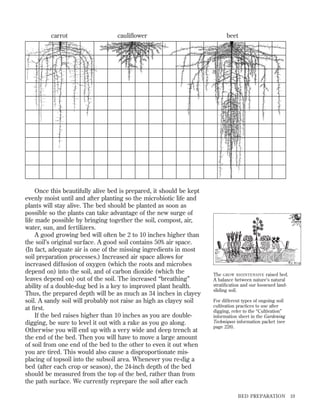 carrot

cauliﬂower

Once this beautifully alive bed is prepared, it should be kept
evenly moist until and after planting so the microbiotic life and
plants will stay alive. The bed should be planted as soon as
possible so the plants can take advantage of the new surge of
life made possible by bringing together the soil, compost, air,
water, sun, and fertilizers.
A good growing bed will often be 2 to 10 inches higher than
the soil’s original surface. A good soil contains 50% air space.
(In fact, adequate air is one of the missing ingredients in most
soil preparation processes.) Increased air space allows for
increased diffusion of oxygen (which the roots and microbes
depend on) into the soil, and of carbon dioxide (which the
leaves depend on) out of the soil. The increased “breathing”
ability of a double-dug bed is a key to improved plant health.
Thus, the prepared depth will be as much as 34 inches in clayey
soil. A sandy soil will probably not raise as high as clayey soil
at ﬁrst.
If the bed raises higher than 10 inches as you are doubledigging, be sure to level it out with a rake as you go along.
Otherwise you will end up with a very wide and deep trench at
the end of the bed. Then you will have to move a large amount
of soil from one end of the bed to the other to even it out when
you are tired. This would also cause a disproportionate misplacing of topsoil into the subsoil area. Whenever you re-dig a
bed (after each crop or season), the 24-inch depth of the bed
should be measured from the top of the bed, rather than from
the path surface. We currently reprepare the soil after each

beet

The GROW BIOINTENSIVE raised bed.
A balance between nature’s natural
stratiﬁcation and our loosened landsliding soil.
For different types of ongoing soil
cultivation practices to use after
digging, refer to the “Cultivation”
information sheet in the Gardening
Techniques information packet (see
page 228).

BED PREPARATION

19

 