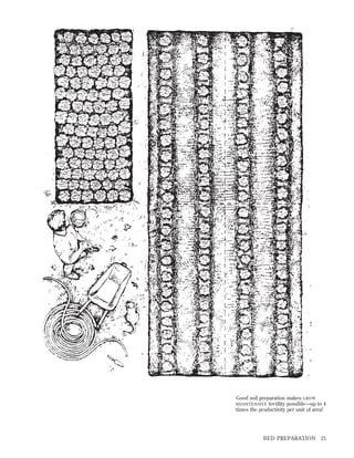 Good soil preparation makes GROW
BIOINTENSIVE fertility possible—up to 4
times the productivity per unit of area!

BED PREPARATION

21

 