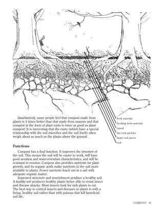 Qualitatively, some people feel that compost made from
plants is 4 times better than that made from manure and that
compost in the form of plant roots is twice as good as plant
compost! It is interesting that the roots (which have a special
relationship with the soil microbes and the soil itself) often
weigh about as much as the plants above the ground.

fresh materials
breaking down materials
topsoil
ﬁne rock particles
larger rock pieces
rock

Functions
Compost has a dual function. It improves the structure of
the soil. This means the soil will be easier to work, will have
good aeration and water-retention characteristics, and will be
resistant to erosion. Compost also provides nutrients for plant
growth, and its organic acids make nutrients in the soil more
available to plants. Fewer nutrients leach out in a soil with
adequate organic matter.
Improved structure and nourishment produce a healthy soil.
A healthy soil produces healthy plants better able to resist insect
and disease attacks. Most insects look for sick plants to eat.
The best way to control insects and diseases in plants is with a
living, healthy soil rather than with poisons that kill beneﬁcial
soil life.
COMPOST

35

 