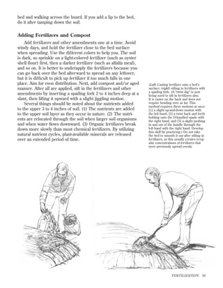 bed and walking across the board. If you add a lip to the bed,
do it after tamping down the soil.

Adding Fertilizers and Compost
Add fertilizers and other amendments one at a time. Avoid
windy days, and hold the fertilizer close to the bed surface
when spreading. Use the different colors to help you. The soil
is dark, so sprinkle on a light-colored fertilizer (such as oyster
shell ﬂour) ﬁrst, then a darker fertilizer (such as alfalfa meal),
and so on. It is better to underapply the fertilizers because you
can go back over the bed afterward to spread on any leftover,
but it is difﬁcult to pick up fertilizer if too much falls in one
place. Aim for even distribution. Next, add compost and/or aged
manure. After all are applied, sift in the fertilizers and other
amendments by inserting a spading fork 2 to 4 inches deep at a
slant, then lifting it upward with a slight jiggling motion.
Several things should be noted about the nutrients added
to the upper 3 to 4 inches of soil. (1) The nutrients are added
to the upper soil layer as they occur in nature. (2) The nutrients are relocated through the soil when larger soil organisms
and when water ﬂows downward. (3) Organic fertilizers break
down more slowly than most chemical fertilizers. By utilizing
natural nutrient cycles, plant-available minerals are released
over an extended period of time.

(Left) Casting fertilizer onto a bed’s
surface; (right) sifting in fertilizers with
a spading fork. (A “twist dig” is now
being used to sift in fertilizers also.
It is easier on the back and does not
require bending over as far. This
method requires three motions at once:
[1] a slight up-and-down motion with
the left hand, [2] a twist back and forth
holding onto the D-handled spade with
the right hand, and [3] a slight pushing
in and out of the handle through the
left hand with the right hand. Develop
this skill by practicing.) Do not rake
the bed to smooth it out after sifting in
fertilizers, as this usually creates irregular concentrations of fertilizers that
were previously spread evenly.

FER TILIZATION

59

 