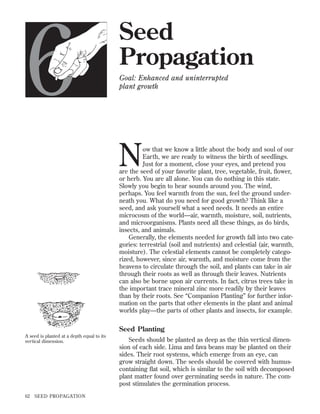 6

Seed
Propagation
Goal: Enhanced and uninterrupted
plant growth

N

ow that we know a little about the body and soul of our
Earth, we are ready to witness the birth of seedlings.
Just for a moment, close your eyes, and pretend you
are the seed of your favorite plant, tree, vegetable, fruit, ﬂower,
or herb. You are all alone. You can do nothing in this state.
Slowly you begin to hear sounds around you. The wind,
perhaps. You feel warmth from the sun, feel the ground underneath you. What do you need for good growth? Think like a
seed, and ask yourself what a seed needs. It needs an entire
microcosm of the world—air, warmth, moisture, soil, nutrients,
and microorganisms. Plants need all these things, as do birds,
insects, and animals.
Generally, the elements needed for growth fall into two categories: terrestrial (soil and nutrients) and celestial (air, warmth,
moisture). The celestial elements cannot be completely categorized, however, since air, warmth, and moisture come from the
heavens to circulate through the soil, and plants can take in air
through their roots as well as through their leaves. Nutrients
can also be borne upon air currents. In fact, citrus trees take in
the important trace mineral zinc more readily by their leaves
than by their roots. See “Companion Planting” for further information on the parts that other elements in the plant and animal
worlds play—the parts of other plants and insects, for example.

Seed Planting
A seed is planted at a depth equal to its
vertical dimension.

62

SEED PROPAGATION

Seeds should be planted as deep as the thin vertical dimension of each side. Lima and fava beans may be planted on their
sides. Their root systems, which emerge from an eye, can
grow straight down. The seeds should be covered with humuscontaining ﬂat soil, which is similar to the soil with decomposed
plant matter found over germinating seeds in nature. The compost stimulates the germination process.

 