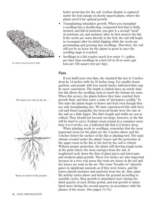 A

GROW BIOINTENSIVE

bed.

better protection for the soil. Carbon dioxide is captured
under the leaf canopy of closely spaced plants, where the
plants need it for optimal growth.
• Transplanting stimulates growth. When you transplant
a seedling into a double-dug, composted bed that is ﬂuffy,
aerated, and full of nutrients, you give it a second “meal”
of nutrients, air, and moisture after its ﬁrst meal in the ﬂat.
If the seeds are sown directly in the bed, the soil will begin
to recompact after its initial digging while the seeds are
germinating and growing into seedlings. Therefore, the soil
will not be as loose for the plants to grow in once the
seedling stage is reached.
• Seedlings in a ﬂat require much less water (1 ⁄ 2 gallon
per day) than seedlings in a bed (10 to 20 or more gallons per 100 square feet per day).

Flats

The leaves are roots in the air . . .

Roots are leaves in the ground . . .

66

SEED PROPAGATION

If you build your own ﬂats, the standard ﬂat size is 3 inches
deep by 14 inches wide by 23 inches long. For smaller home
gardens, and people with less sturdy backs, half-sized ﬂats may
be more convenient. The depth is critical since an overly shallow ﬂat allows the seedling roots to touch the bottom too soon.
When this occurs, the plants believe they have reached their
growth limit, and they enter a state of “premature senility.” In
this state the plants begin to ﬂower and fruit even though they
are only transplanting size. We have experienced this with broccoli and dwarf marigolds; the broccoli heads were the size of
the nail on a little ﬁnger. The ﬂat’s length and width are not as
critical. They should not become too large, however, or the ﬂat
will be hard to carry. If plants must remain in a container more
than 4 to 6 weeks, use a half-sized ﬂat that is 6 inches deep.
When planting seeds or seedlings, remember that the most
important areas for the plant are the 2 inches above and the
2 inches below the surface of the ﬂat or planting bed. The miniclimate created under the plants’ leaves and the protection of
the upper roots in the ﬂat or the bed by the soil is critical.
Without proper protection, the plants will develop tough necks
at the point where the stem emerges from the soil. A
toughened neck slows the ﬂow of plant juices and interrupts
and weakens plant growth. These few inches are also important
because in a very real sense the roots are leaves in the soil and
the leaves are roots in the air. The roots “breathe in” (absorb)
gases in signiﬁcant amounts as if they were leaves, and the
leaves absorb moisture and nutrients from the air. Also, plant
life activity varies above and below the ground according to
monthly cycles. Root growth is stimulated more during the
third quarter of each 28-day period, and leaf growth is stimulated more during the second quarter, in accordance with the
phases of the moon. (See pages 71–74.)

 