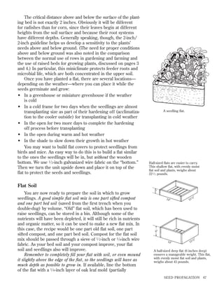 The critical distance above and below the surface of the planting bed is not exactly 2 inches. Obviously it will be different
for radishes than for corn, since their leaves begin at different
heights from the soil surface and because their root systems
have different depths. Generally speaking, though, the 2-inch/
2-inch guideline helps us develop a sensitivity to the plants’
needs above and below ground. (The need for proper conditions
above and below ground was also noted in the comparison
between the normal use of rows in gardening and farming and
the use of raised beds for growing plants, discussed on pages 3
and 4.) In particular, this miniclimate protects feeder roots and
microbial life, which are both concentrated in the upper soil.
Once you have planted a ﬂat, there are several locations—
depending on the weather—where you can place it while the
seeds germinate and grow:
• In a greenhouse or miniature greenhouse if the weather
is cold
• In a cold frame for two days when the seedlings are almost
transplanting size as part of their hardening off (acclimatization to the cooler outside) for transplanting in cold weather
• In the open for two more days to complete the hardening
off process before transplanting
• In the open during warm and hot weather
• In the shade to slow down their growth in hot weather
You may want to build ﬂat covers to protect seedlings from
birds and mice. An easy way to do this is to build a ﬂat similar
to the ones the seedlings will be in, but without the wooden
bottom. We use 1 ⁄ 2 -inch galvanized wire fabric on the “bottom.”
Then we turn the unit upside down and place it on top of the
ﬂat to protect the seeds and seedlings.

A seedling ﬂat.

Half-sized ﬂats are easier to carry.
This shallow ﬂat, with evenly moist
ﬂat soil and plants, weighs about
22 1 ⁄ 2 pounds.

Flat Soil
You are now ready to prepare the soil in which to grow
seedlings. A good simple ﬂat soil mix is one part sifted compost
and one part bed soil (saved from the ﬁrst trench when you
double-dug) by volume. “Old” ﬂat soil, which has been used to
raise seedlings, can be stored in a bin. Although some of the
nutrients will have been depleted, it will still be rich in nutrients
and organic matter, so it can be used to make a new ﬂat mix. In
this case, the recipe would be one part old ﬂat soil, one part
sifted compost, and one part bed soil. Compost for the ﬂat soil
mix should be passed through a sieve of 1 ⁄ 2 -inch or 1 ⁄ 4-inch wire
fabric. As your bed soil and your compost improve, your ﬂat
soil and seedlings also will improve.
Remember to completely ﬁll your ﬂat with soil, or even mound
it slightly above the edge of the ﬂat, so the seedlings will have as
much depth as possible to grow in. If available, line the bottom
of the ﬂat with a 1 ⁄ 8 -inch layer of oak leaf mold (partially

3Љ
14Љ

2Љ

1/
11

6Љ

14Љ

2Љ

1/
11

A half-sized deep ﬂat (6 inches deep)
ensures a manageable weight. This ﬂat,
with evenly moist ﬂat soil and plants,
weighs about 45 pounds.

SEED PROPAGATION

67

 