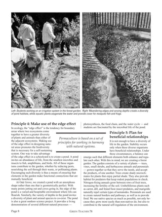Left: Students working on an irrigation system in the forest garden. Right: Meandering edges and varying depths create a diversity
of pond habitats, while aquatic plants oxygenate the water and provide cover for mosquito fish and frogs.

Principle 4: Make use of the edge effect

photosynthesis, the food chain, and the water cycle — and
students are fascinated by the microbial life of the pond.

In ecology, the “edge effect” is the tendency for boundary
areas where two ecosystems come
Principle 5: Plan for
together to have a greater diversity
beneficial relationships
of plants and animals than either of
Permaculture is based on a set of
the adjacent ecosystems. Making use
It is not enough to have a diversity of
principles for working in harmony
of the edge effect in designing natulife in the garden. Stability occurs
with natural systems.
ral areas promotes the biodiversity
only when these diverse organisms
that is necessary for a self-sustaining
have beneficial relationships. Under
system. One way to take advantage
these circumstances, a balance can
of the edge effect in a schoolyard is to create a pond. A pond
emerge such that different elements both enhance and reguinvites an abundance of life, from the smallest microbes and
late each other. With this in mind, we are creating a forest
insects to fish, amphibians, and birds. All of these organgarden. The garden consists of a variety of plants — trees,
isms contribute to the garden, whether by reducing pests,
vines, small shrubs, and herbaceous annuals and perennials
nourishing the soil through their waste, or pollinating plants.
— grown together so that they serve the needs, and accept
Encouraging such diversity is thus a means of ensuring that
the products, of one another. Trees create shady microclielements in the garden make functional connections that are
mates for plants that enjoy partial shade. They also provide
mutually beneficial.
habitat for predators that keep rodent populations in check.
At Oak Grove, we created a pond with an amorphous
Nitrogen-fixing annuals grow between rows of fruit trees,
shape rather than one that is geometrically perfect. With
increasing the fertility of the soil. Umbelliferous plants such
many points jutting out and coves going in, the edge of the
as carrot, dill, and fennel host insect predators, and marigolds
pond is a varied and hospitable environment where life can
naturally repel certain types of nematodes. Perennials are used
flourish. Similarly, the variety of depths in the pond invites
to create natural borders and pathways, as well as to provide
a diversity of plant and animal species to co-exist. The pond
food. We use native species as much as possible, not only beis also a great outdoor science project. It provides a living
cause they grow more easily than non-natives do, but also to
demonstration of several different natural processes —
contribute to the natural self-regulation of the environment.
Page 8

GREEN TEACHER 78

 