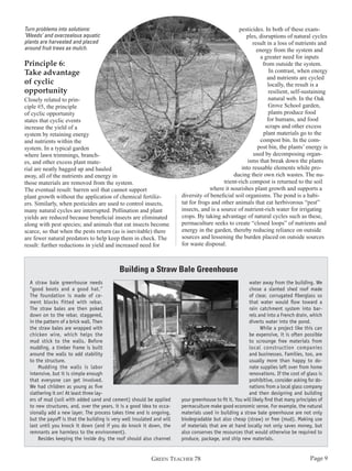 Turn problems into solutions:
‘Weeds’ and overzealous aquatic
plants are harvested and placed
around fruit trees as mulch.

Principle 6:
Take advantage
of cyclic
opportunity

Closely related to principle #5, the principle
of cyclic opportunity
states that cyclic events
increase the yield of a
system by retaining energy
and nutrients within the
system. In a typical garden
where lawn trimmings, branches, and other excess plant material are neatly bagged up and hauled
away, all of the nutrients and energy in
those materials are removed from the system.
The eventual result: barren soil that cannot support
plant growth without the application of chemical fertilizers. Similarly, when pesticides are used to control insects,
many natural cycles are interrupted. Pollination and plant
yields are reduced because beneficial insects are eliminated
along with pest species; and animals that eat insects become
scarce, so that when the pests return (as is inevitable) there
are fewer natural predators to help keep them in check. The
result: further reductions in yield and increased need for

pesticides. In both of these examples, disruptions of natural cycles
result in a loss of nutrients and
energy from the system and
a greater need for inputs
from outside the system.
In contrast, when energy
and nutrients are cycled
locally, the result is a
resilient, self-sustaining
natural web. In the Oak
Grove School garden,
plants produce food
for humans, and food
scraps and other excess
plant materials go to the
compost bin. In the compost bin, the plants’ energy is
used by decomposing organisms that break down the plants
into reusable elements while producing their own rich wastes. The nutrient-rich compost is returned to the soil
where it nourishes plant growth and supports a
diversity of beneficial soil organisms. The pond is a habitat for frogs and other animals that eat herbivorous “pest”
insects, and is a source of nutrient-rich water for irrigating
crops. By taking advantage of natural cycles such as these,
permaculture seeks to create “closed loops” of nutrients and
energy in the garden, thereby reducing reliance on outside
sources and lessening the burden placed on outside sources
for waste disposal.

Building a Straw Bale Greenhouse
A straw bale greenhouse needs
“good boots and a good hat.”
The foundation is made of cement blocks fitted with rebar.
The straw bales are then poked
down on to the rebar, staggered,
in the pattern of a brick wall. Then
the straw bales are wrapped with
chicken wire, which helps the
mud stick to the walls. Before
mudding, a timber frame is built
around the walls to add stability
to the structure.
Mudding the walls is labor
intensive, but it is simple enough
that everyone can get involved.
We had children as young as five
slathering it on! At least three layers of mud (soil with added sand and cement) should be applied
to new structures, and, over the years, it is a good idea to occasionally add a new layer. The process takes time and is ongoing,
but the payoff is that the building is very well insulated and will
last until you knock it down (and if you do knock it down, the
remnants are harmless to the environment).
Besides keeping the inside dry, the roof should also channel

water away from the building. We
chose a slanted shed roof made
of clear, corrugated fiberglass so
that water would flow toward a
rain catchment system into barrels and into a French drain, which
diverts water into the pond.
While a project like this can
be expensive, it is often possible
to scrounge free materials from
local construction companies
and businesses. Families, too, are
usually more than happy to donate supplies left over from home
renovations. If the cost of glass is
prohibitive, consider asking for donations from a local glass company
and then designing and building
your greenhouse to fit it. You will likely find that many principles of
permaculture make good economic sense. For example, the natural
materials used in building a straw bale greenhouse are not only
biodegradable but also cheap (straw) or free (mud). Making use
of materials that are at hand locally not only saves money, but
also conserves the resources that would otherwise be required to
produce, package, and ship new materials.

GREEN TEACHER 78

Page 9

 