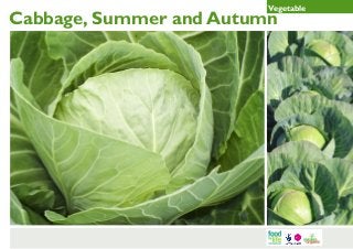 Vegetable

Cabbage, Summer and Autumn

 