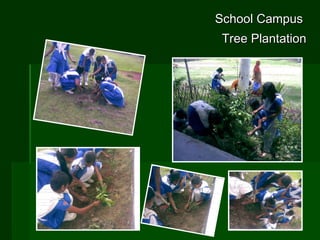 School Campus  Tree Plantation 
