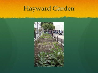 Hayward Garden
 