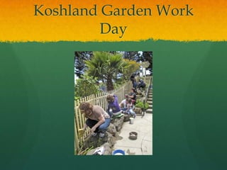 Koshland Garden Work
        Day
 