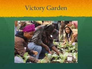 Victory Garden
 