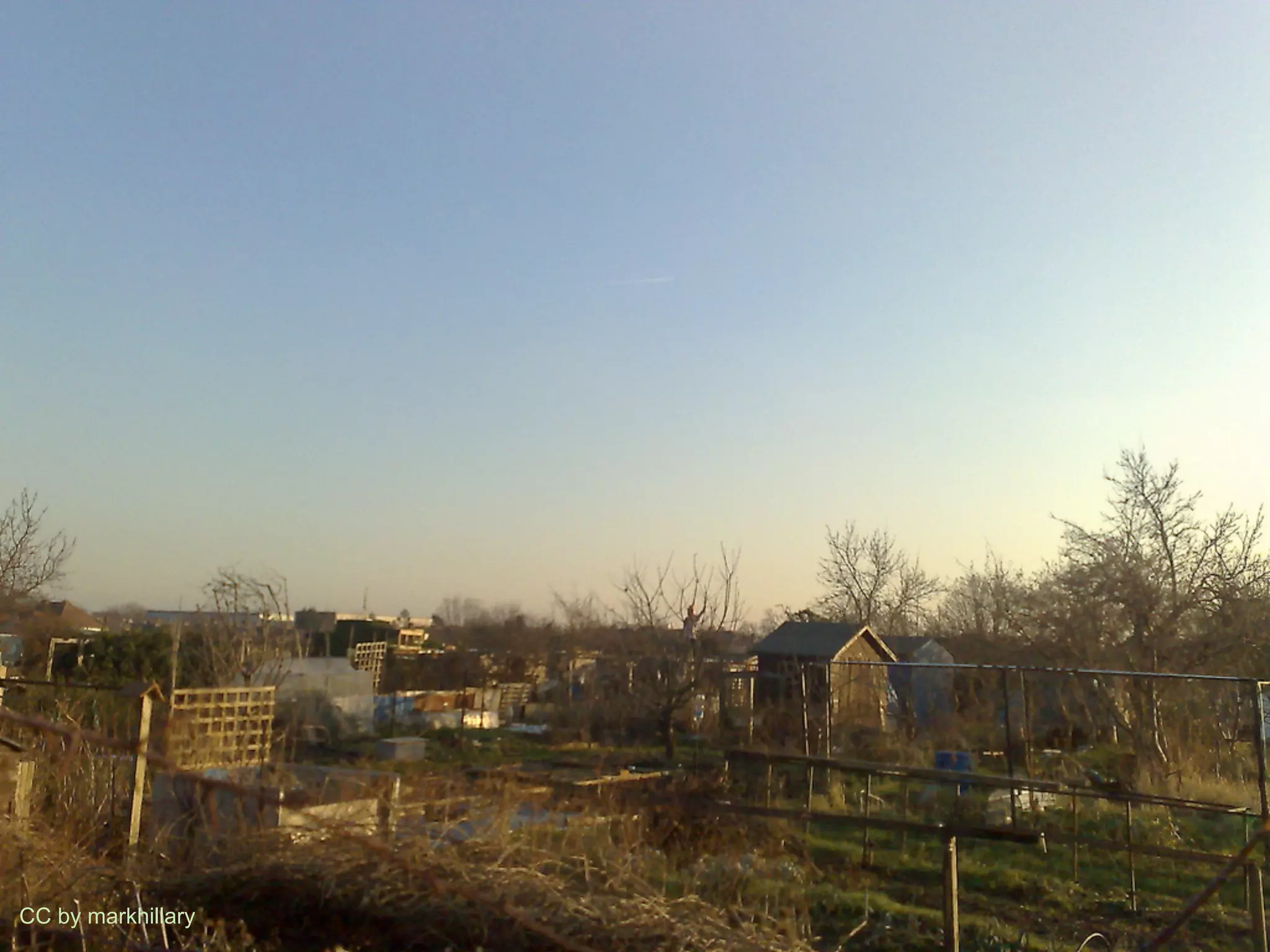 CC by markhillary   34
 