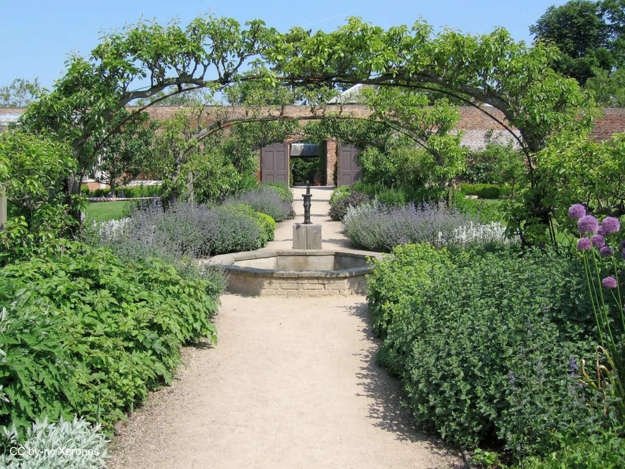 CC by-nc Xerones   35
                   35
 