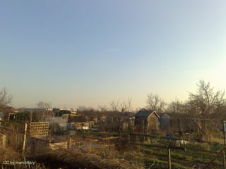 CC by markhillary   34
 