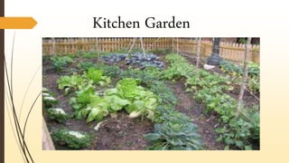 Kitchen Garden
 