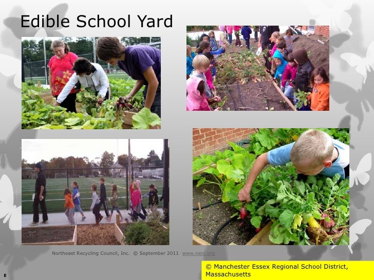 School composting options