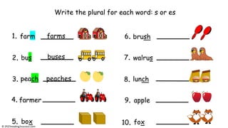 Write the plural for each word: s or es
1. farm
2. bus
3. peach
6. brush
4.
box
5.
7. walrus
8. lunch
9.
fox
10.
© reading2success.com
farmer apple
farms
buses
peaches
 