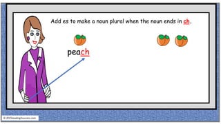peach
Add es to make a noun plural when the noun ends in ch.
© reading2success.com
 