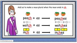 peach + es peaches
watch + es watches
inches
1/2 1/2 1/2
+ es
inch
© reading2success.com
Add es to make a noun plural when the noun ends in ch.
 
