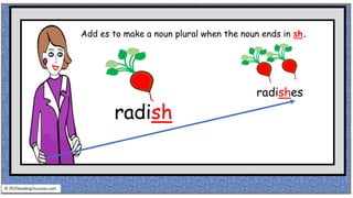 Add es to make a noun plural when the noun ends in sh.
radish
radishes
© reading2success.com
 