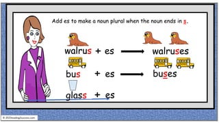 walrus + es walruses
bus + es buses
glass + es
© reading2success.com
Add es to make a noun plural when the noun ends in s.
 