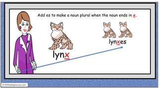 lynx
lynxes
© reading2success.com
Add es to make a noun plural when the noun ends in x.
 