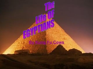 By Kung Fu Cows The Life OF EGYPTIANS  