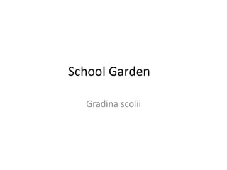 School Garden	,[object Object],Gradinascolii,[object Object]
