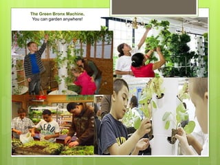 The Green Bronx Machine.
You can garden anywhere!
 