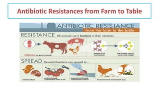 Antibiotic Resistances from Farm to Table
 