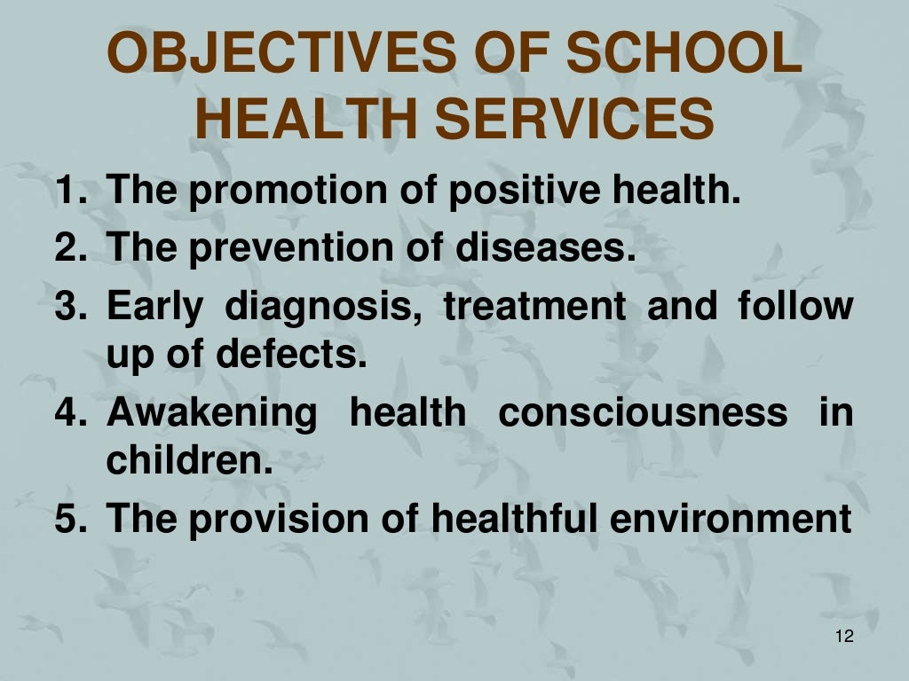 School health services