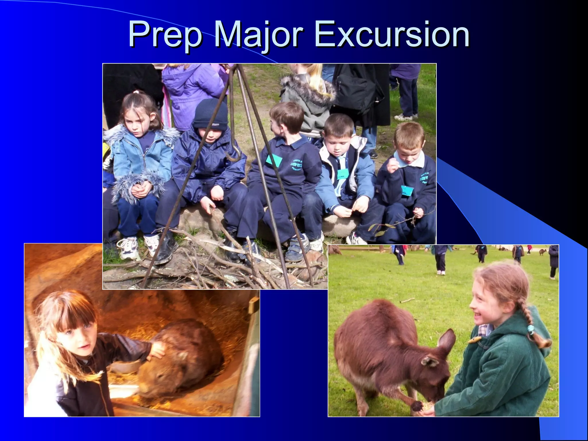 Prep Major Excursion
 
