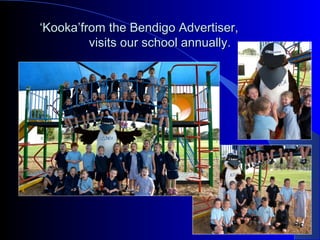 ‘‘KookaKooka’’from the Bendigo Advertiser,from the Bendigo Advertiser,
visits our school annually.visits our school annually.
 