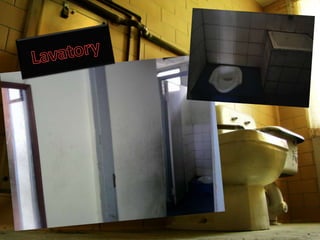 Lavatory