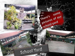 There’s some pictures of our school yardThere’s some pictures of our school yardThere’s some pictures of our school yardSchool Yard