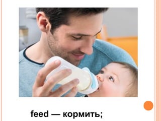 feed — кормить;
 