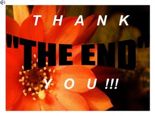 T  H  A  N  K Y  O  U  !!! "THE END" 