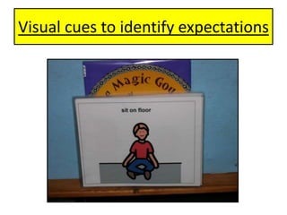 Visual cues to identify expectations