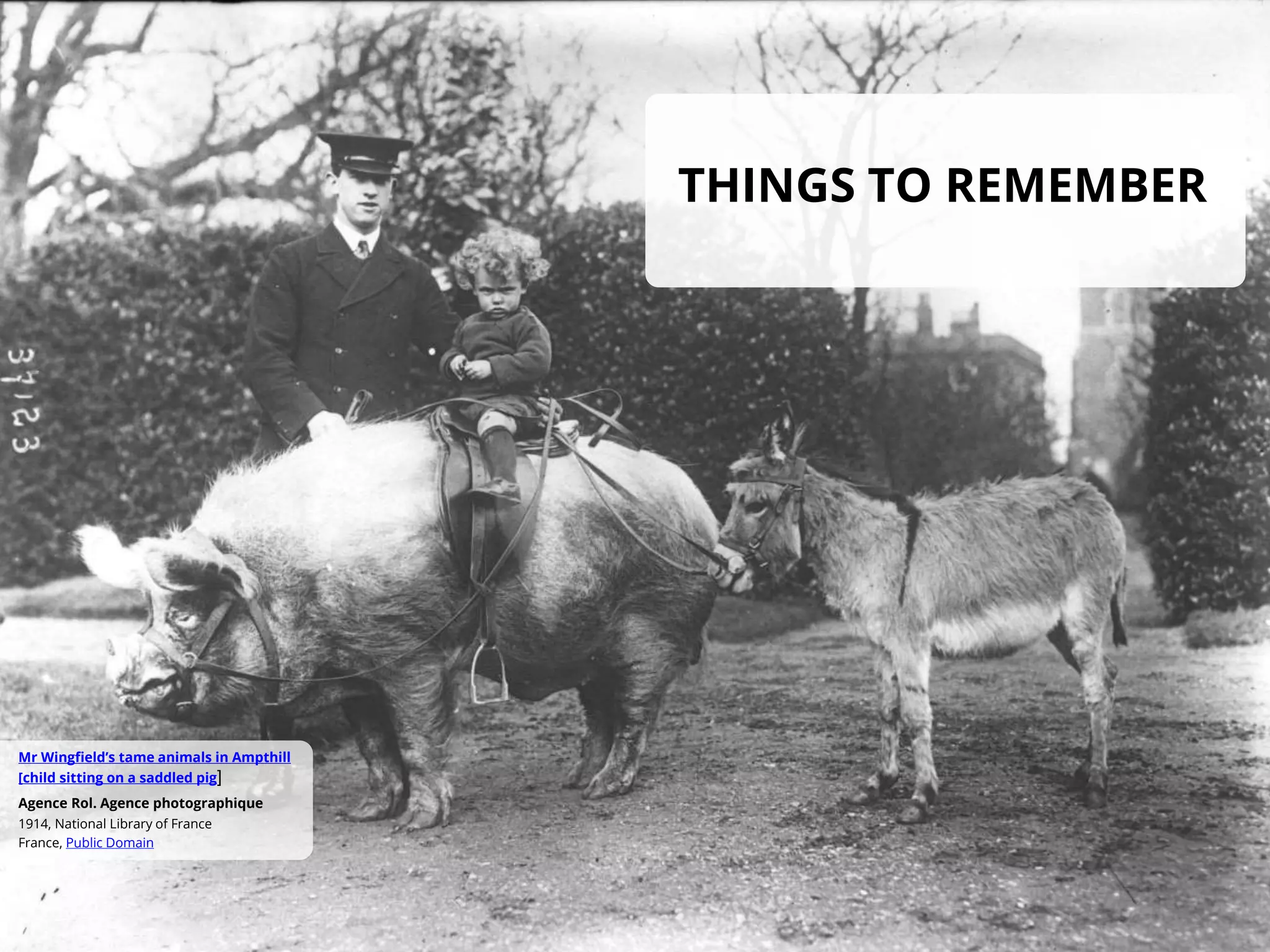 THINGS TO REMEMBER
France, Public Domain
1914, National Library of France
Agence Rol. Agence photographique
Mr Wingfield’s tame animals in Ampthill
[child sitting on a saddled pig]
 