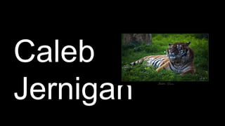 Caleb
Jernigan
 