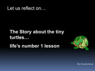 By Anonymous
Let us reflect on…
The Story about the tiny
turtles…
life’s number 1 lesson
 