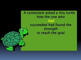 A contestant asked a tiny turtle
how the one who
had
succeeded had found the
strength
to reach the goal
 