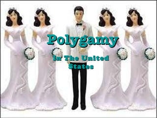 Polygamy In The United States 