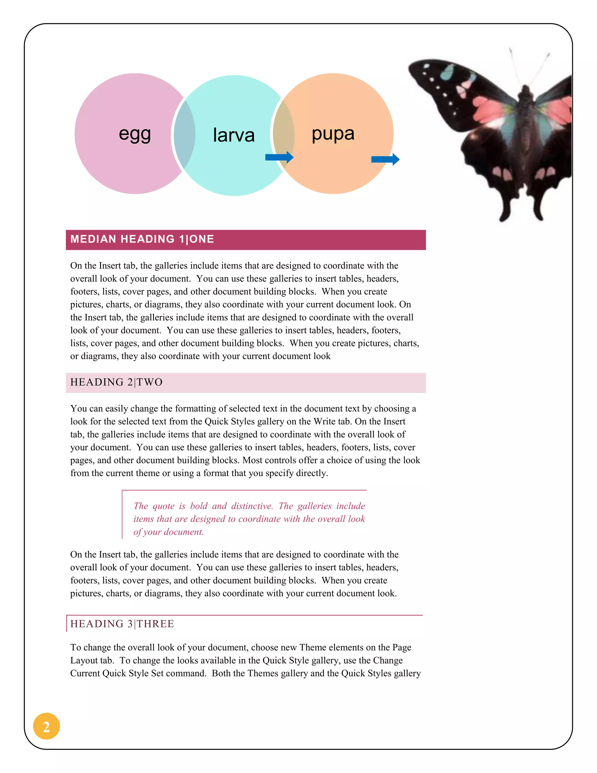 School Report (Butterfly Design)