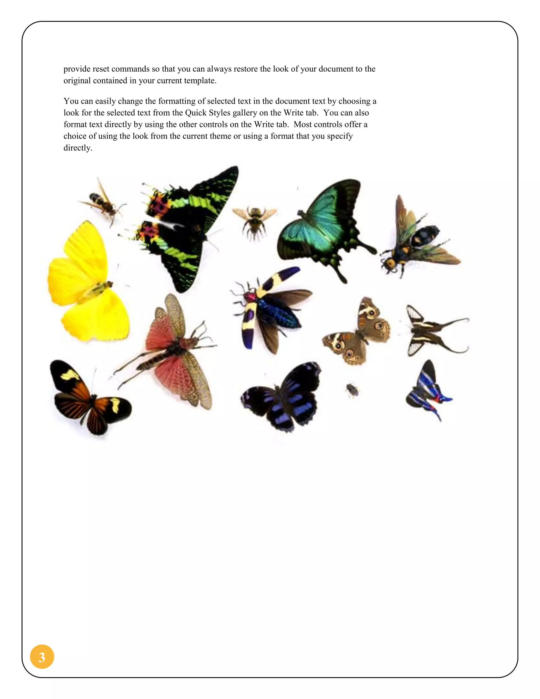 School Report (Butterfly Design)